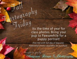 Fall Furrtography Friday